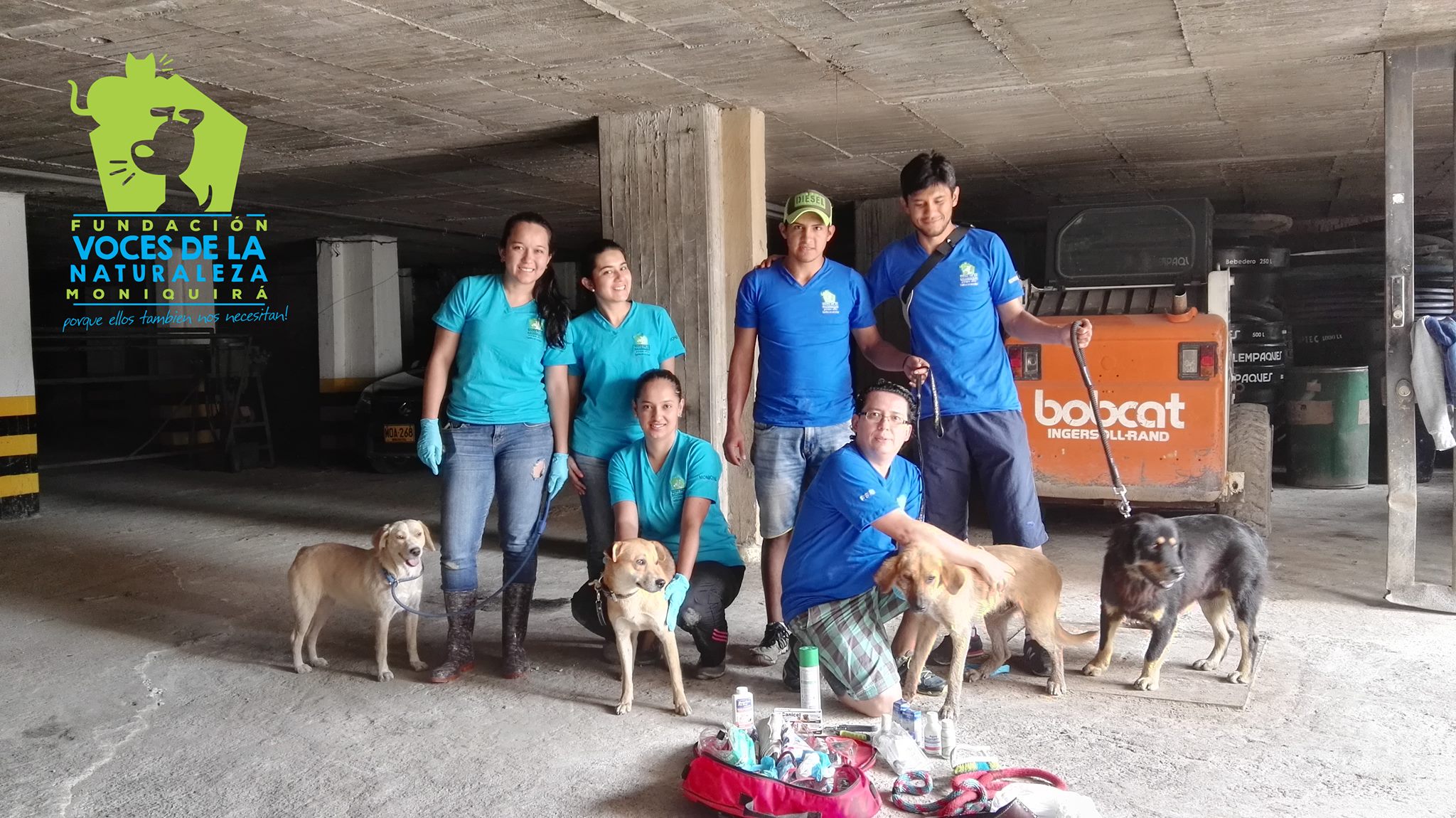 Donación para animales en Moniquirá
