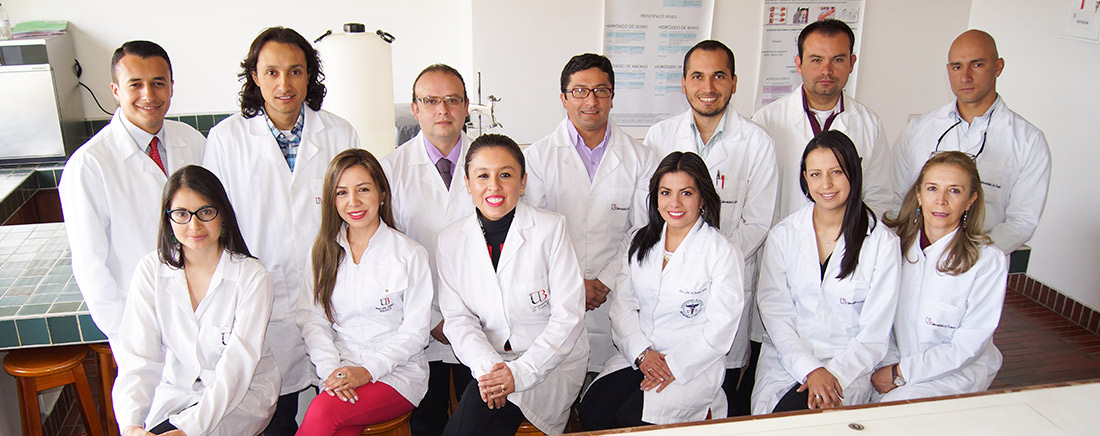 Grupos de Investigación
