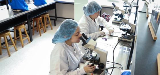 Programa de Bacteriología y Laboratorio Clínico - Técnico 