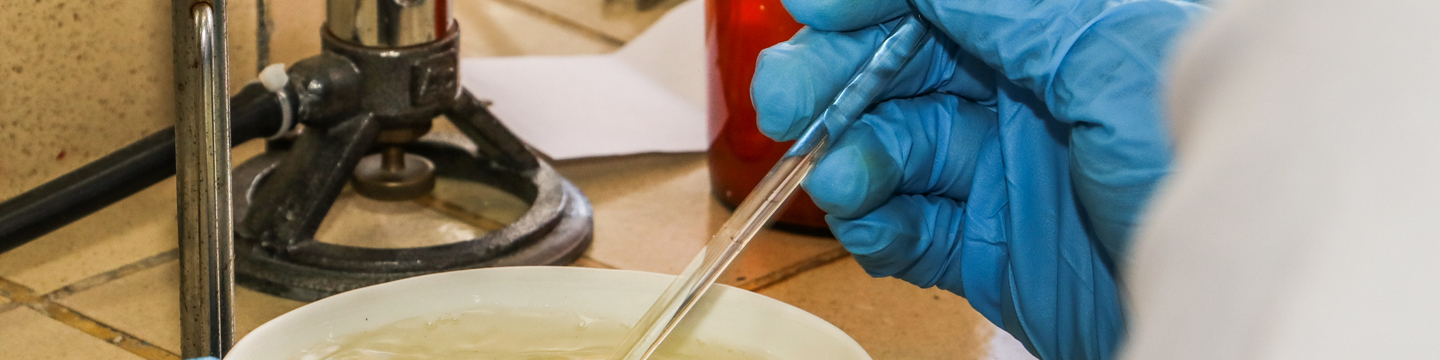 SIIAM- Semillero de Investigación en Inteligencia Ambiental