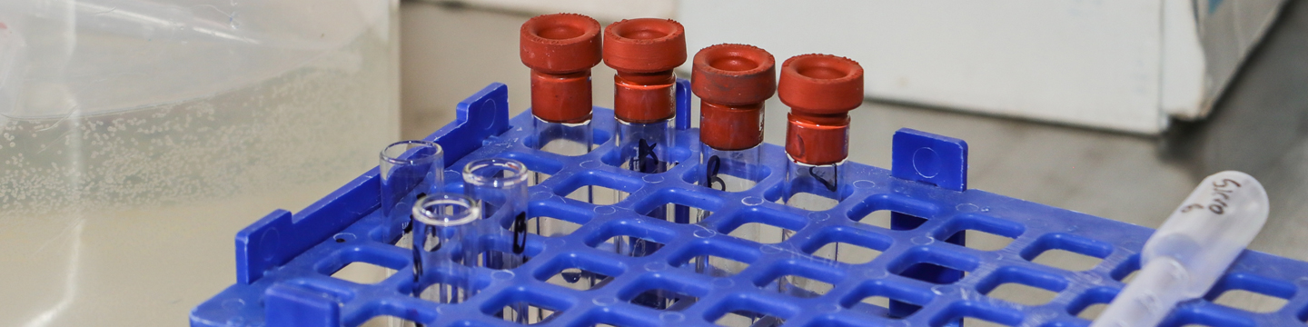 SIPBIO Semillero de Investigación en Procesos Biotecnológicos