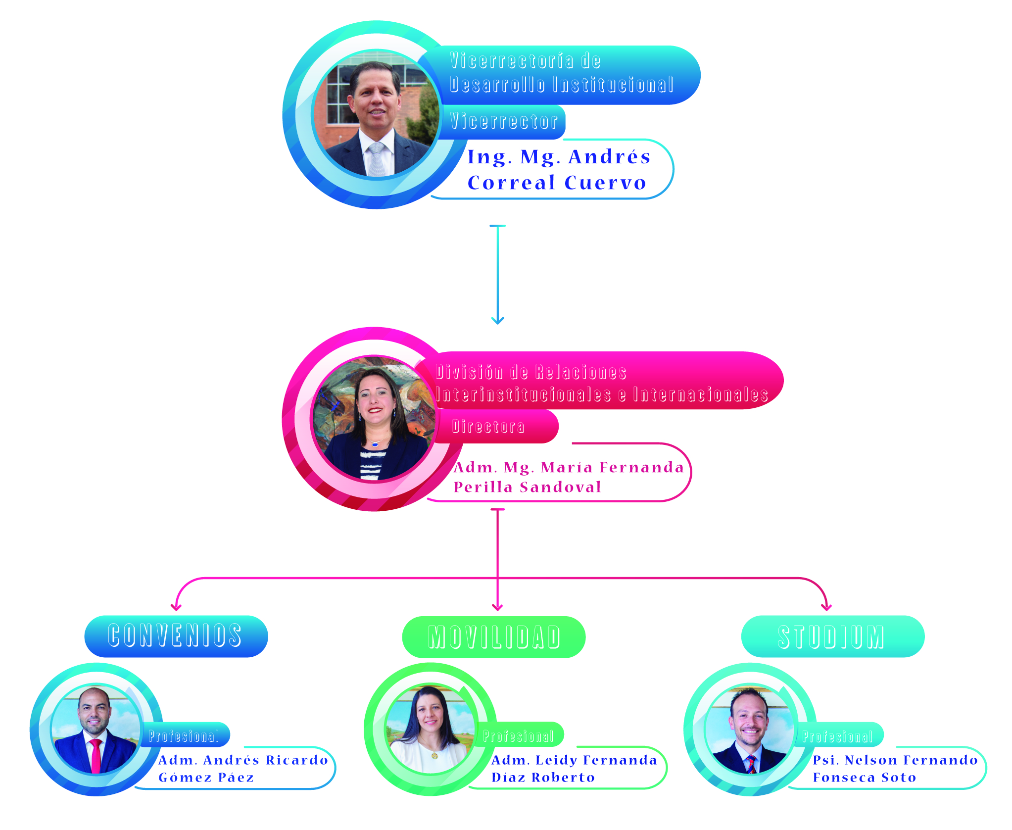 Estructura Organizacional