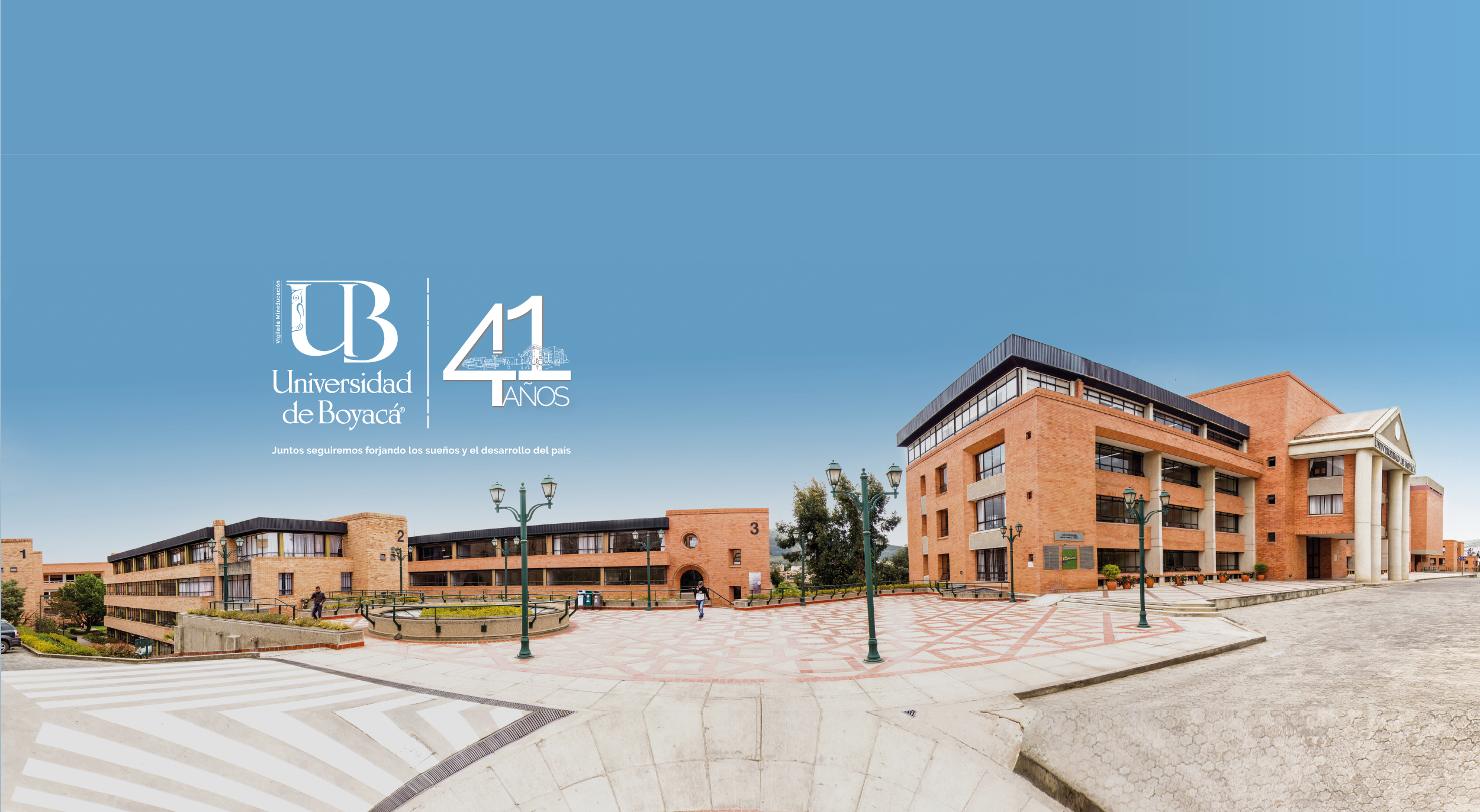 41