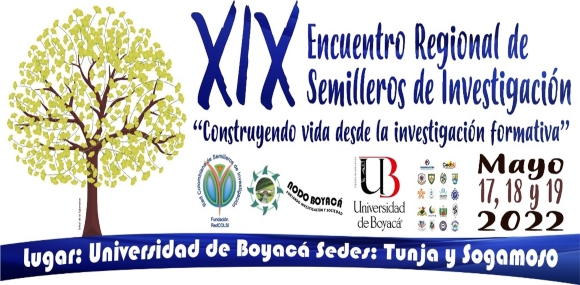 Infografía sobre el XIX Encuentro Regional de Semilleros de Investigación “Construyendo vida desde la investigación formativa” 