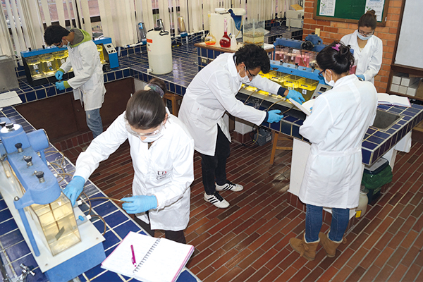 Docente Departamento de Química y Bioquímica - Sede Tunja