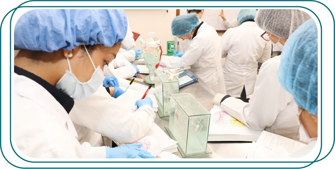 grupo de personas en un entorno de laboratorio. Están vestidas con batas de laboratorio, guantes y gorros, lo que sugiere un ambiente estéril. Las personas están concentradas en tareas que involucran escritura y manejo de equipos de laboratorio como pipetas y placas de Petri, lo que indica que podrían estar realizando experimentos o registrando datos.