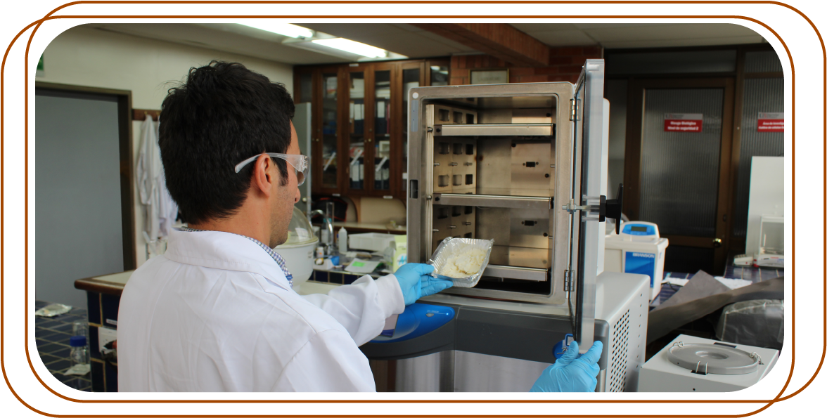 persona en un entorno de laboratorio, vistiendo una bata blanca y guantes. La persona se encuentra frente a un liofilizador abierto y parece estar colocando o retirando una placa de Petri en su interior.