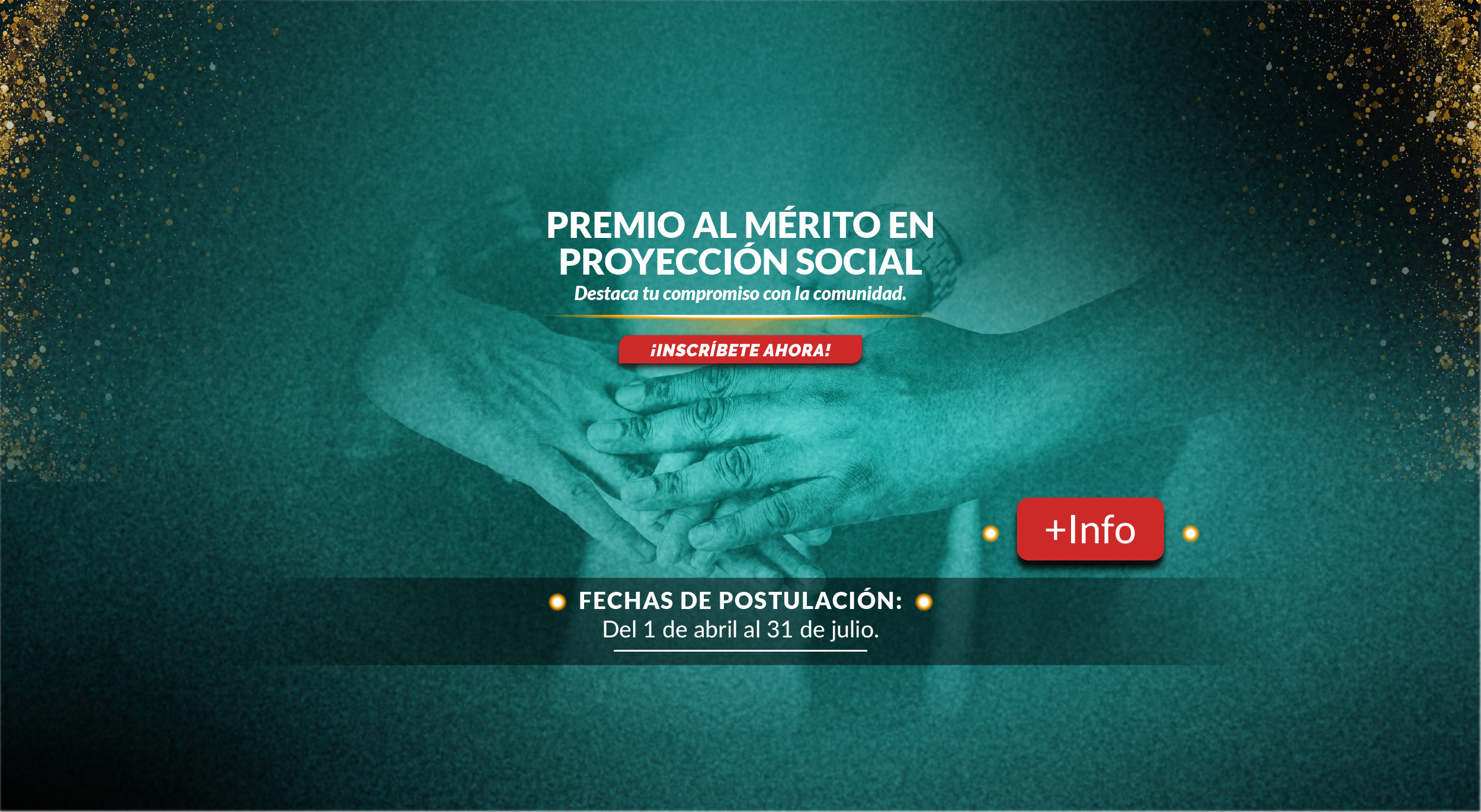 PREMIO AL MÉRITO EN PROYECCIÓN SOCIAL