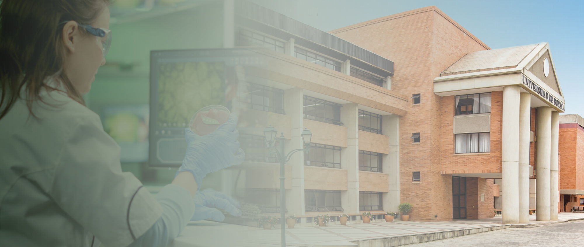 Doctorado en Ciencias Ambientales