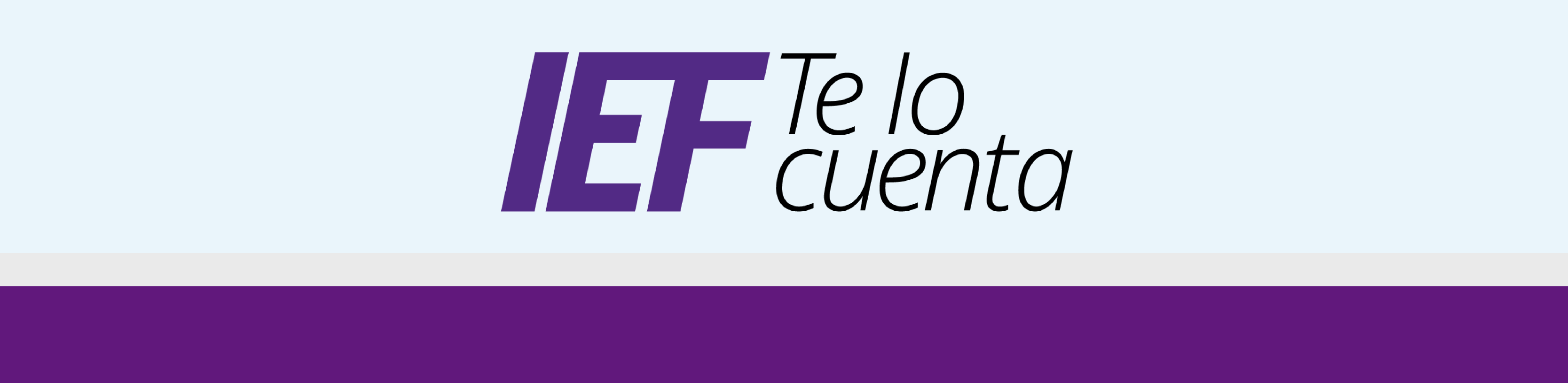 Newsletter "IEF Te lo cuenta"