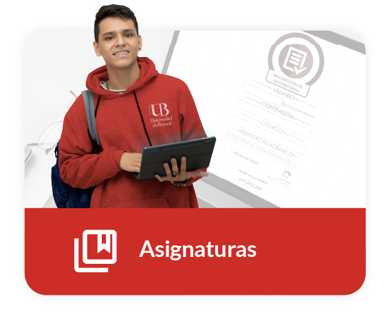 11. Asignaturas