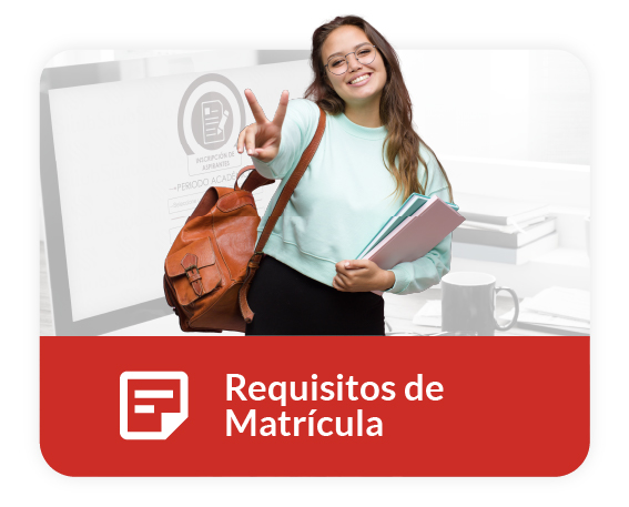 9. Carga de Requisitos de Matrícula