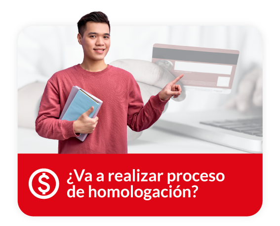 11 homologación