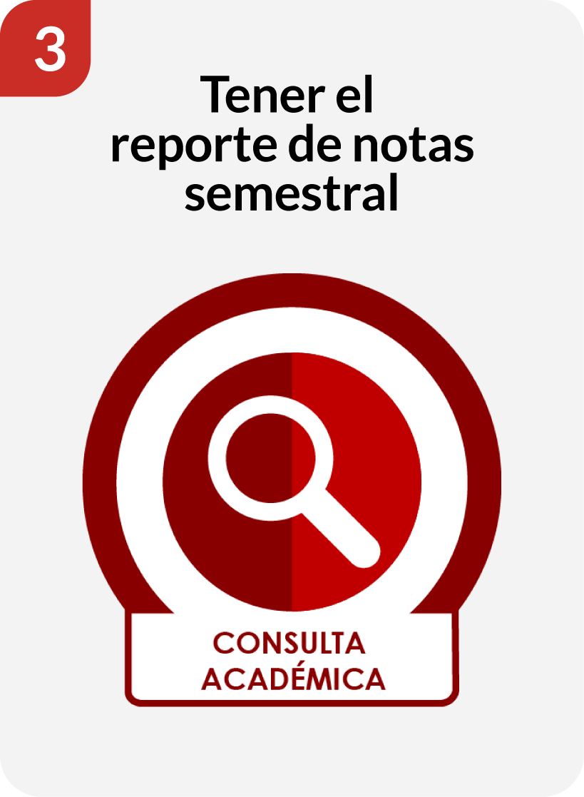 11. Asignaturas reporte de notas