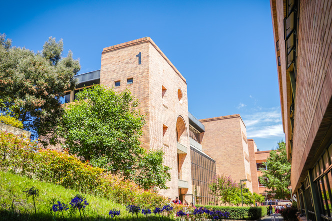 Campus Facultad de Ciencias de la Salud