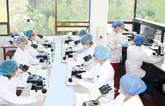 Laboratorio de Histología - Sede Tunja