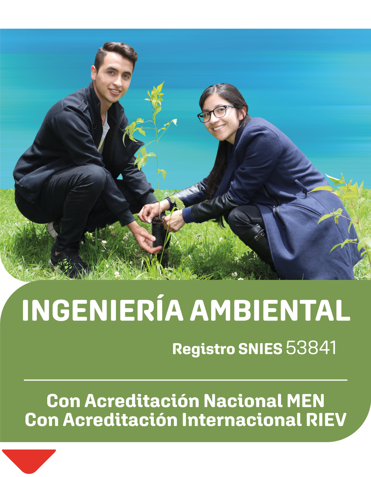 Ingeniería Ambiental