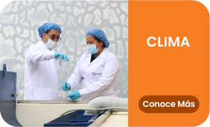 clima