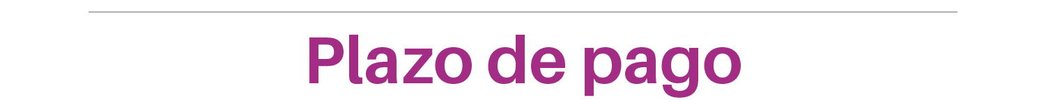 Plazo de pago