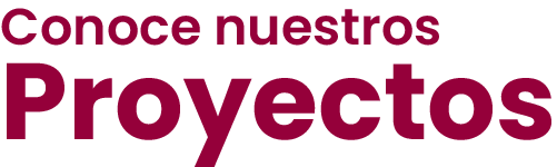 Conoce nuestros proyectos