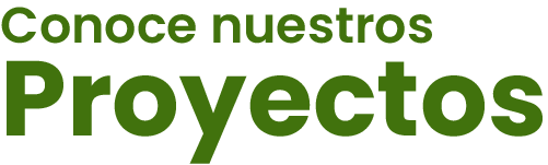 Conoce nuestros proyectos