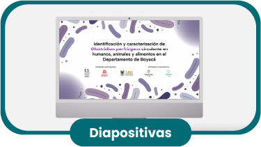 Diapositivas