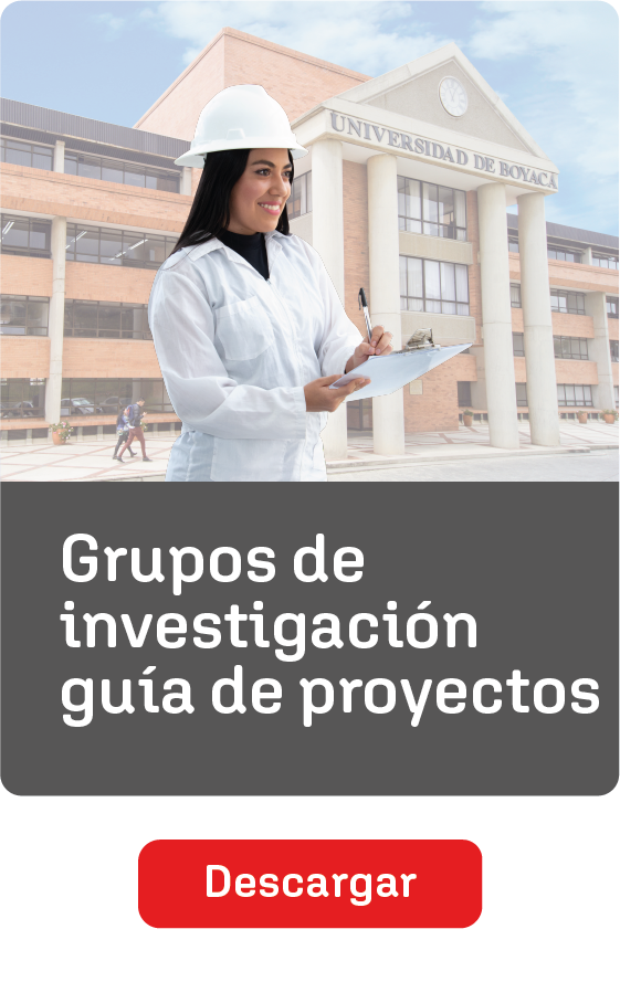 guía de proyectos