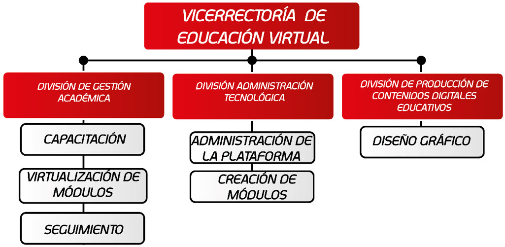 Estructura organizacional de la Vicerrectoría de Educación Virtual