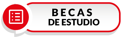 Becas de estudio