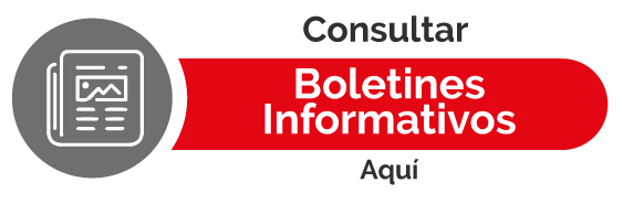 boletin