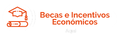 becas e incentivos