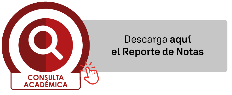 reporte de notas