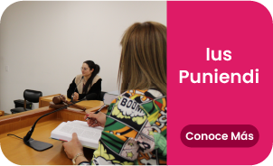 Ius Puniendi