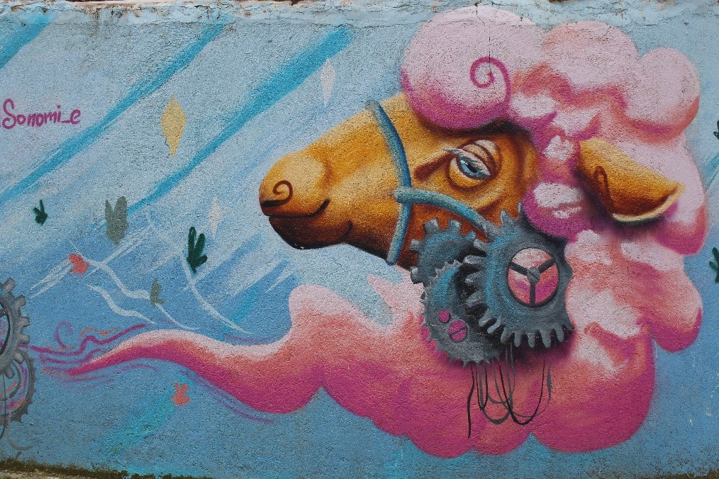 Foto: Camilo Méndez // Artista: Sonomi_e // Estilo: Graffiti
