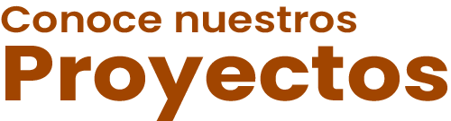 Conoce nuestros proyetos
