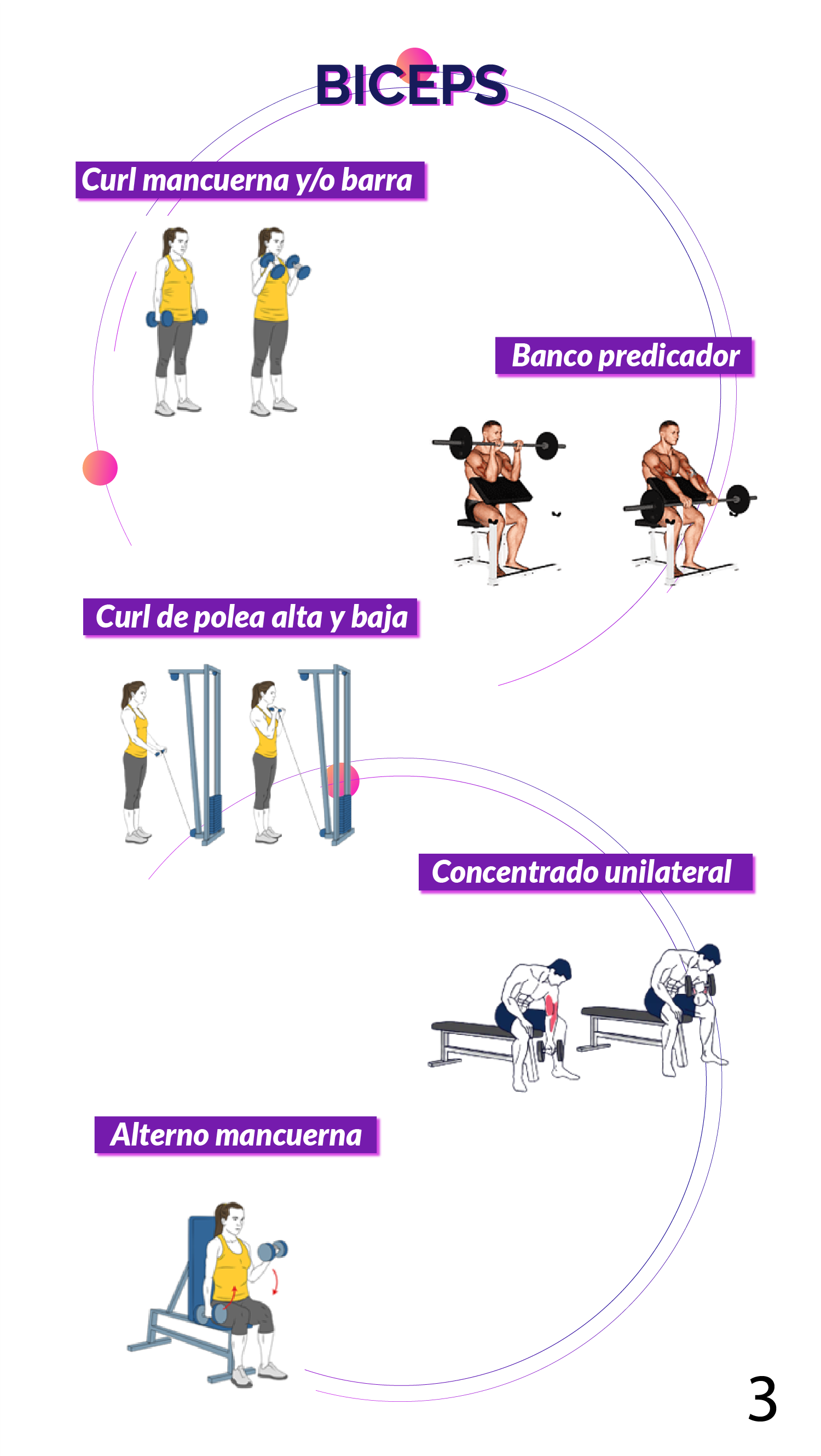 Gimnasio Plan de adaptación