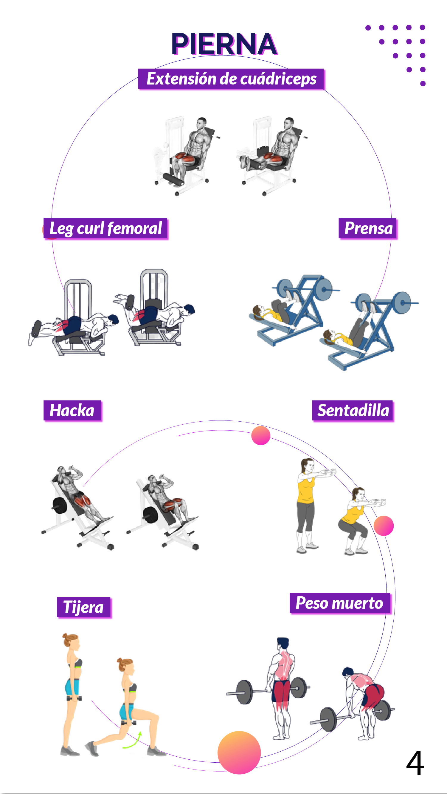 Gimnasio Plan de adaptación