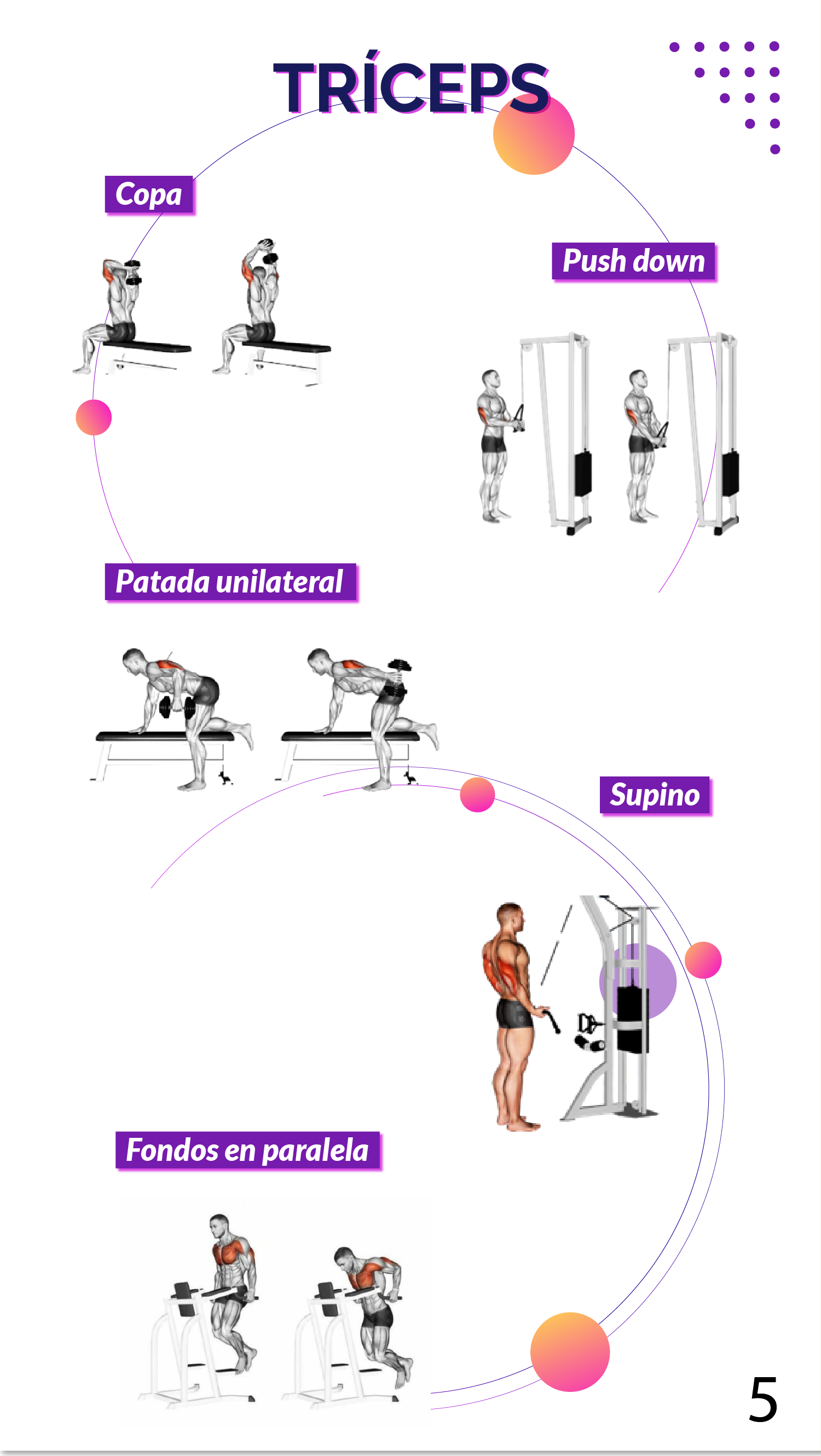 Gimnasio Plan de adaptación