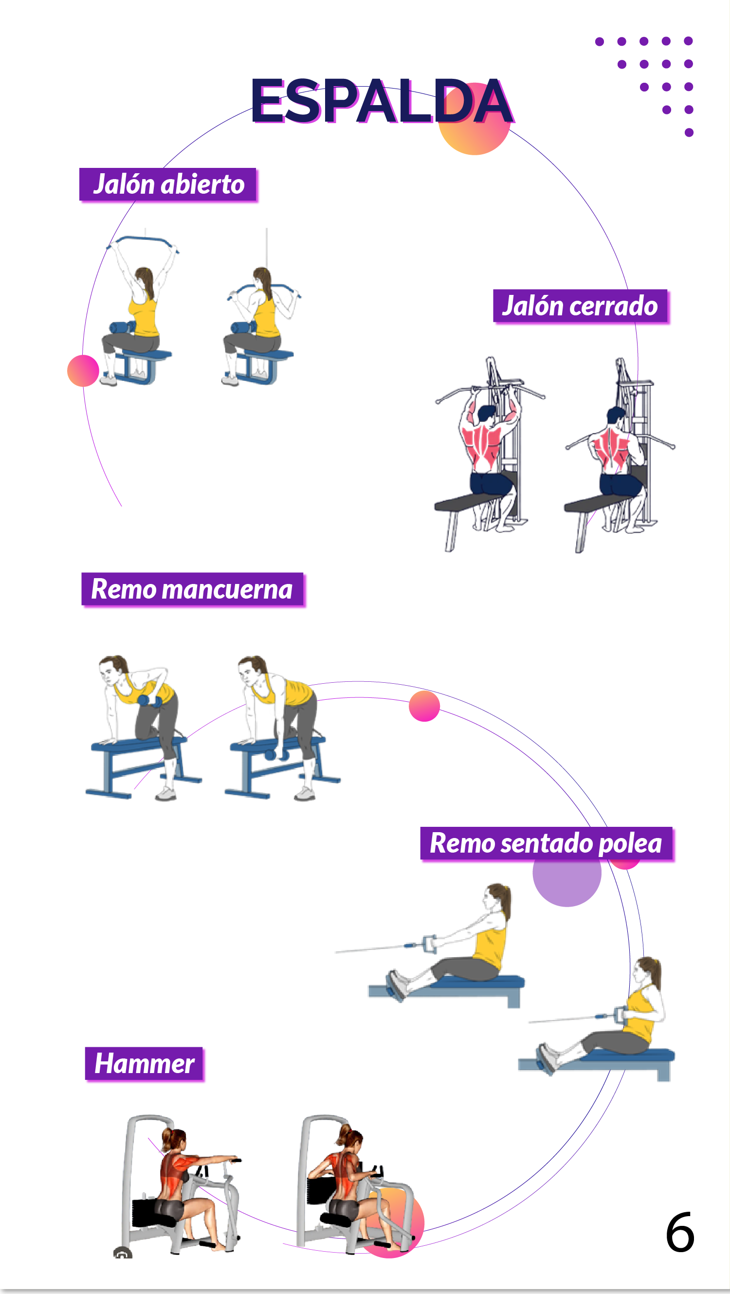 Gimnasio Plan de adaptación