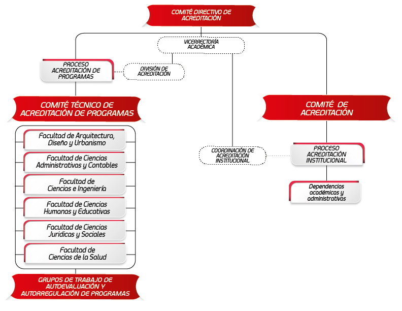 Organización Acreditación