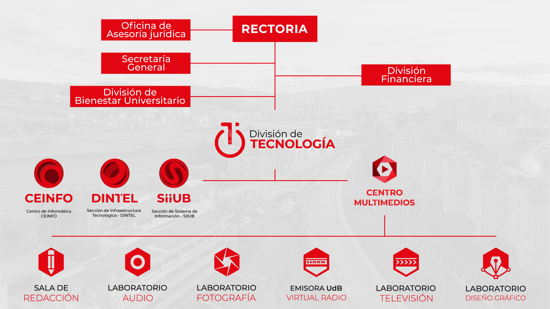 Organigrama 