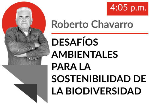 roberto chavarro