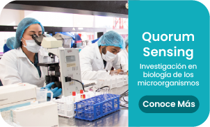 Quorum Sensing