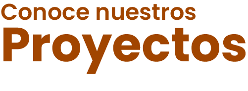 Conoce nuestros proyectos