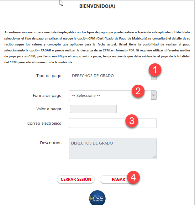 Selección DG