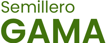Semillero GAMA