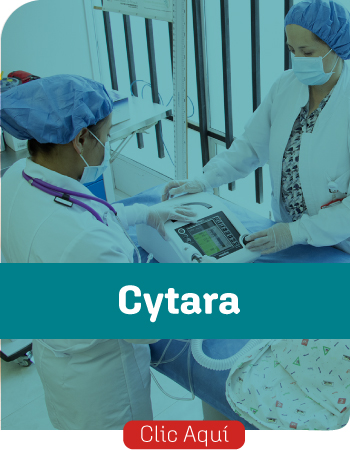 cytara