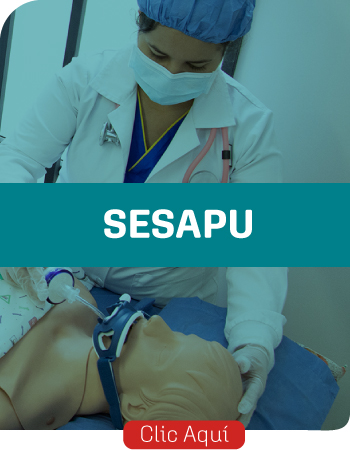 sesapu