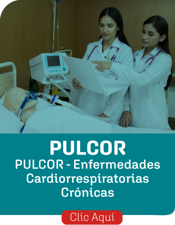 pulcor