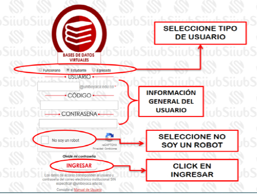 bases de datos